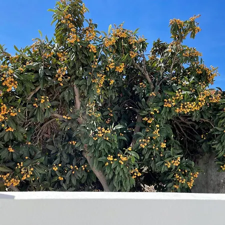 דירה Our Charming House פורטימאו