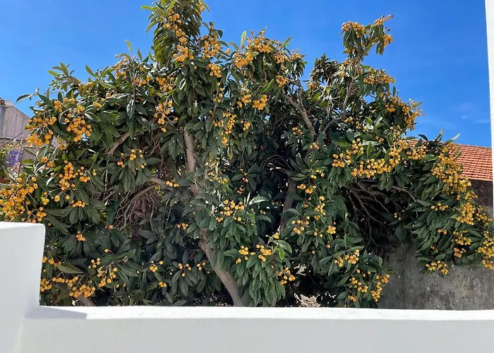 Apartament Our Charming House Portimão